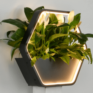 Home wall lamp fb812